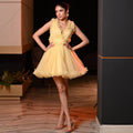 Aveline Organza Frill Dress